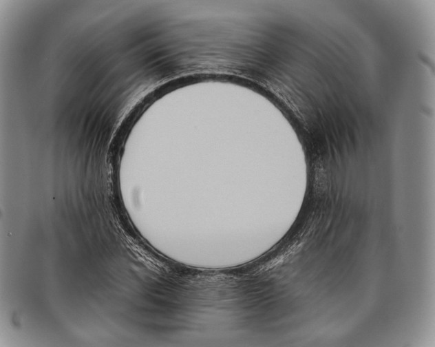 X0000097980926200804141114