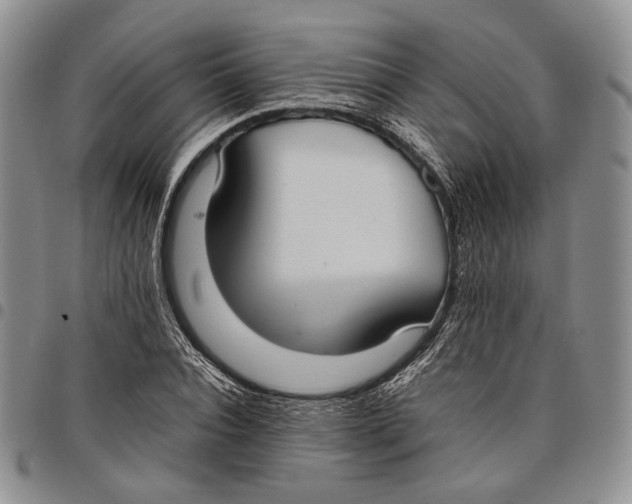 X0000097980928200804141114