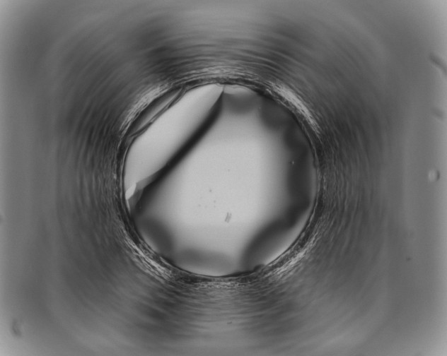 X0000097980930200804141114