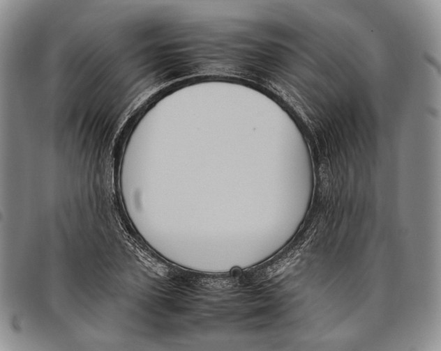 X0000097980931200804141114