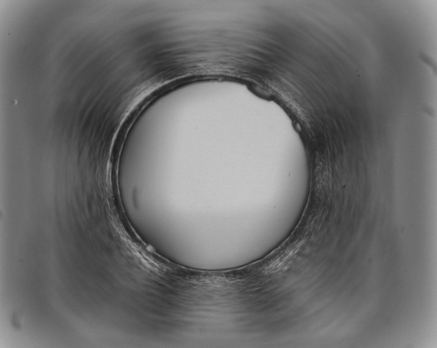 X0000097980932200804141114