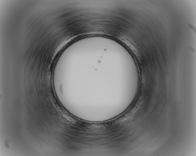 X0000097980933200804141114