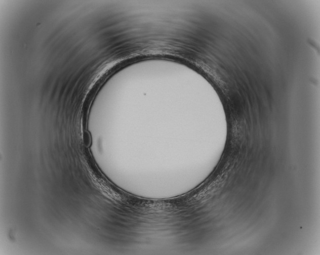 X0000097980934200804141114