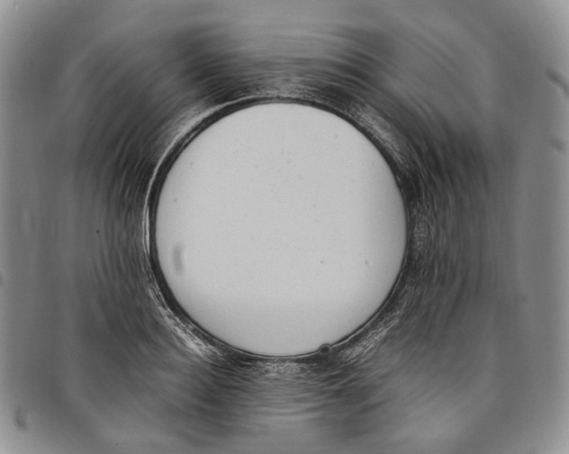 X0000097980940200804141114