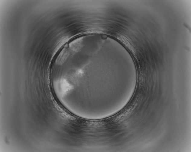 X0000097980941200804141114