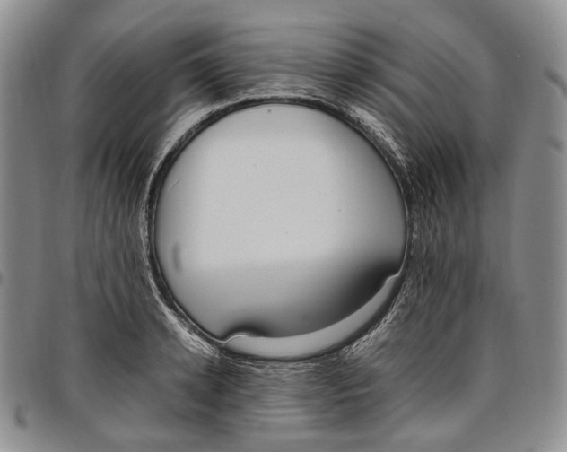 X0000097980942200804141114