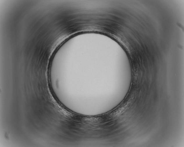 X0000097980943200804141114