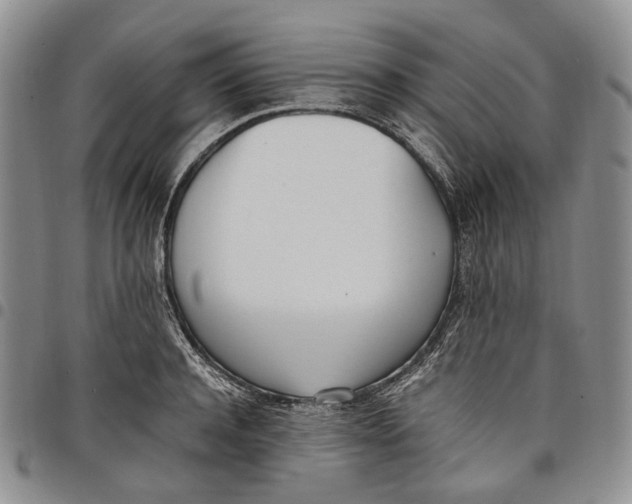 X0000097980944200804141114