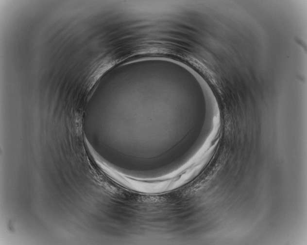 X0000097980945200804141114