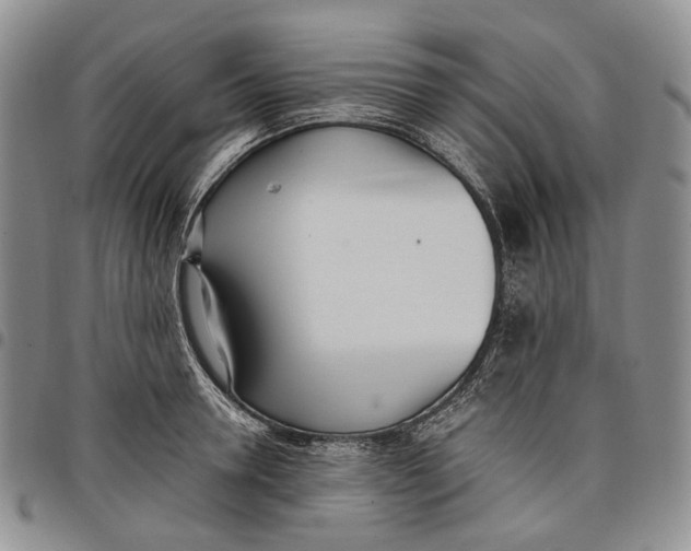 X0000097980946200804141114