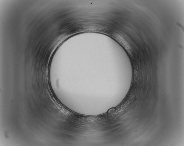 X0000097980948200804141114