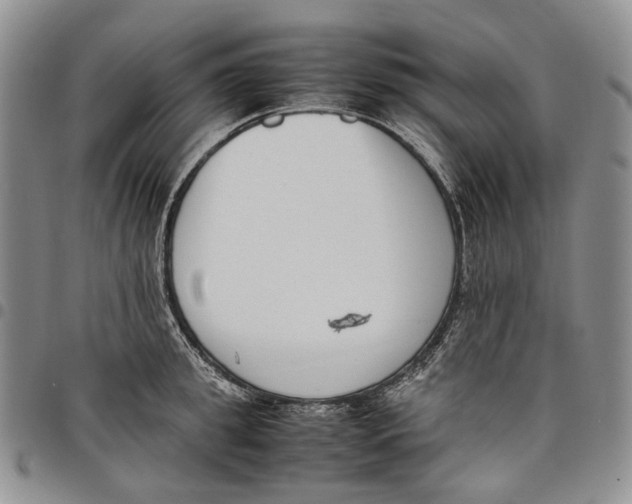 X0000097980949200804141114