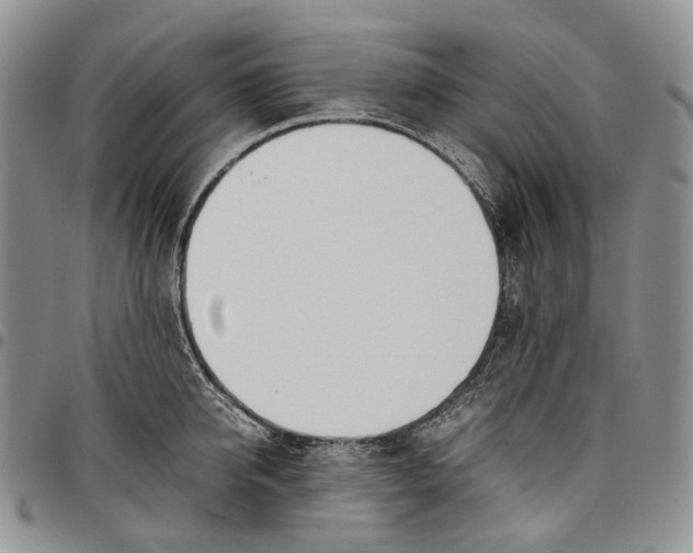 X0000097980950200804141114