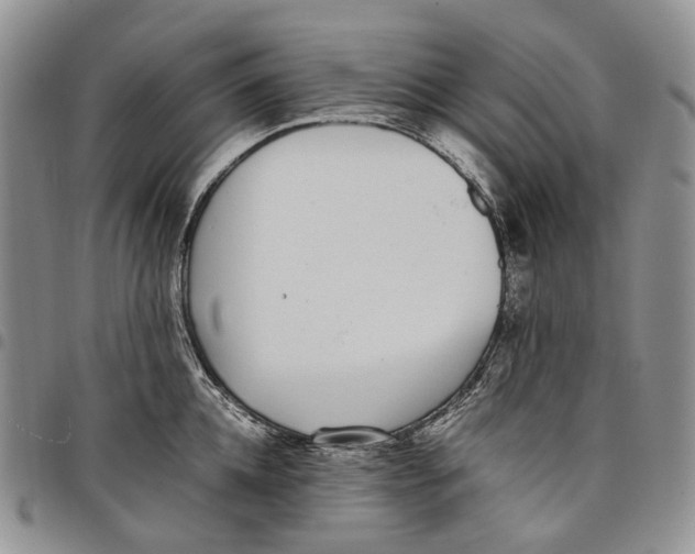 X0000097980952200804141114