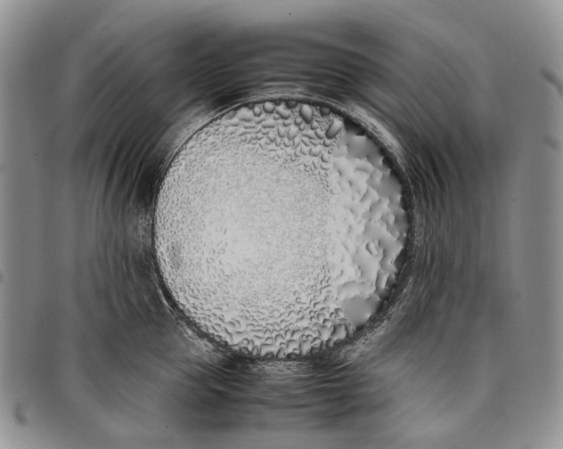 X0000097980953200804141114