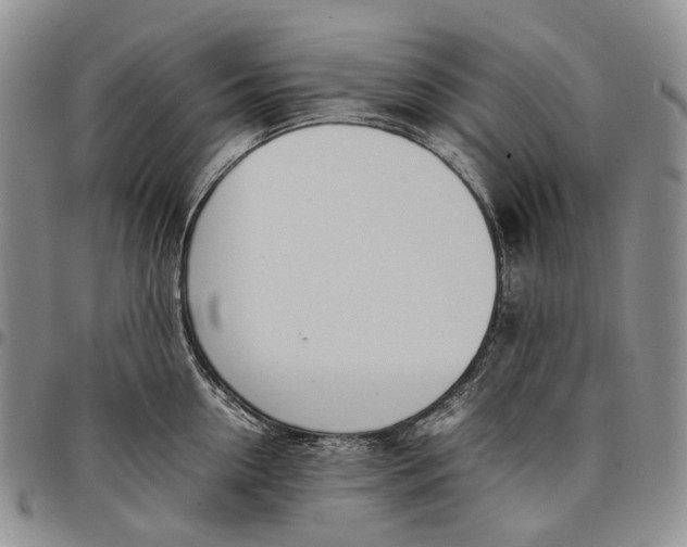 X0000097980954200804141114