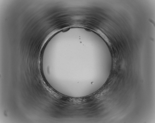 X0000097980955200804141114