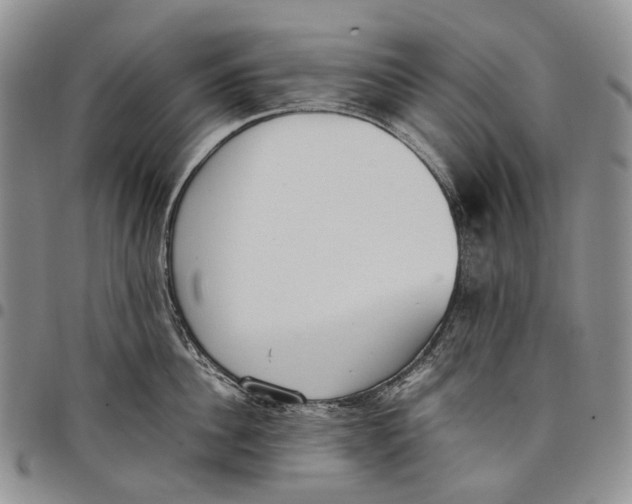 X0000097980956200804141114