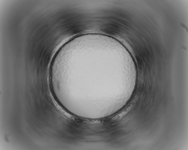 X0000097980957200804141114