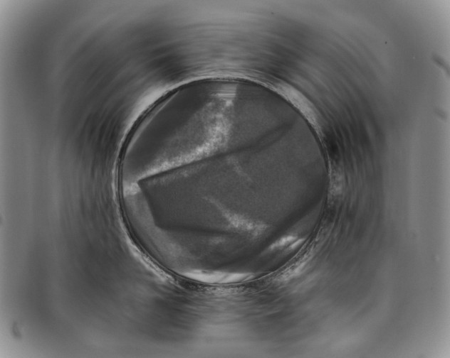 X0000097980958200804141114