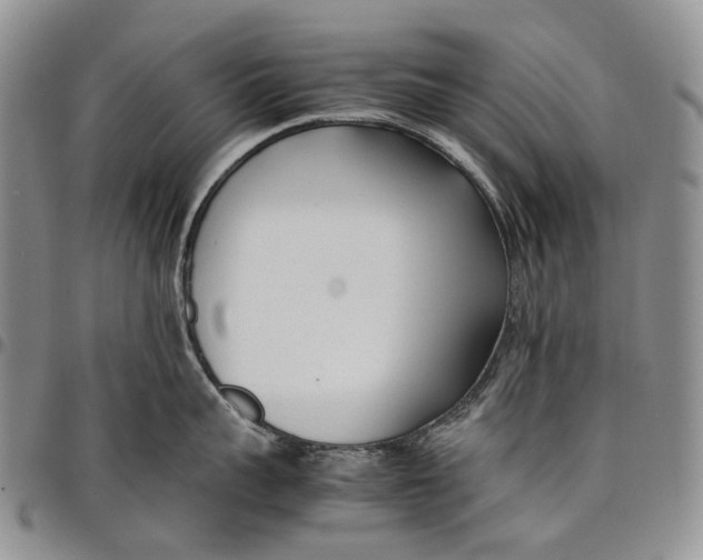 X0000097980959200804141114