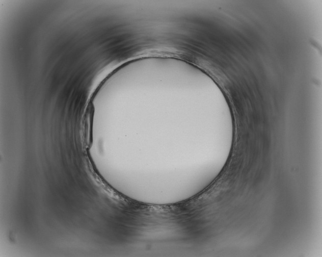 X0000097980960200804141114