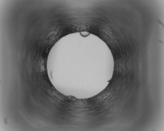 X0000097980962200804141113