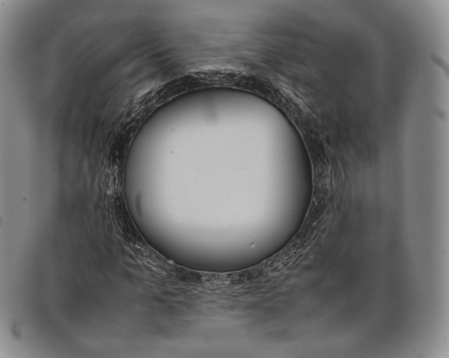 X0000097980965200804141113