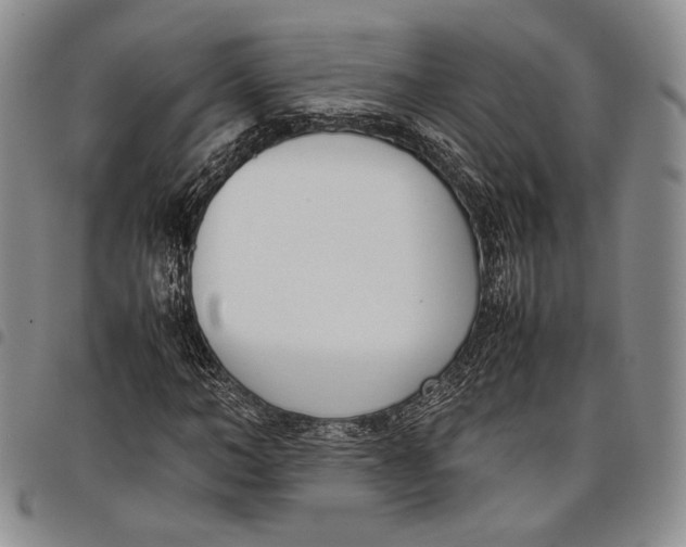 X0000097980966200804141113