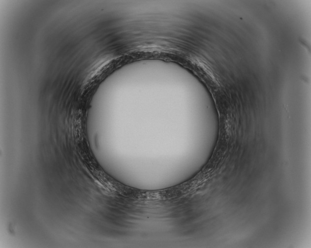 X0000097980968200804141113