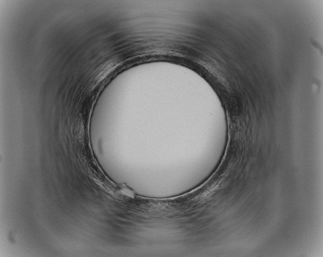 X0000097980969200804141113