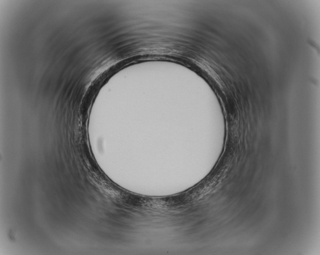 X0000097980971200804141113