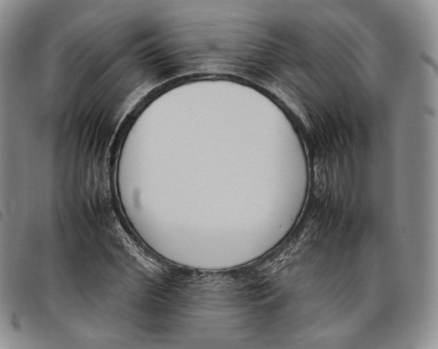 X0000097980972200804141113