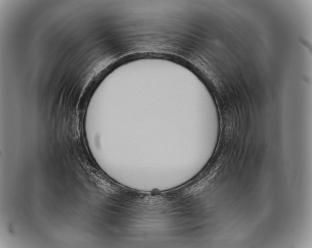 X0000097980974200804141113