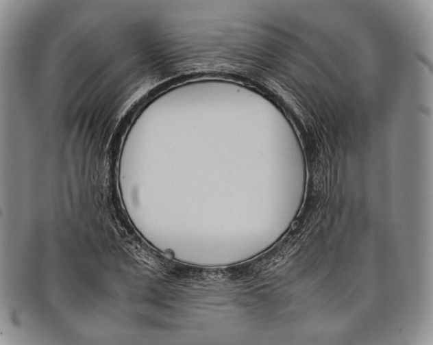 X0000097980975200804141113