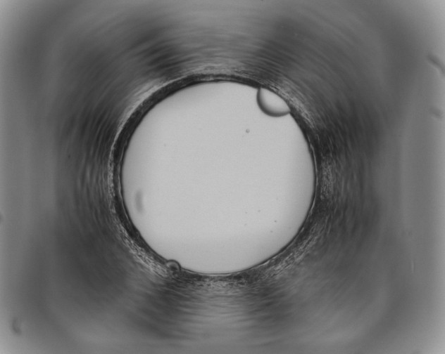 X0000097980976200804141113