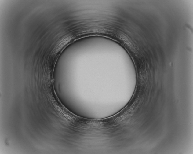 X0000097980977200804141113