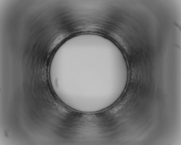 X0000097980978200804141113