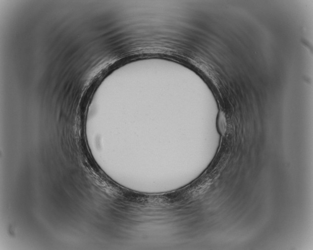 X0000097980979200804141113