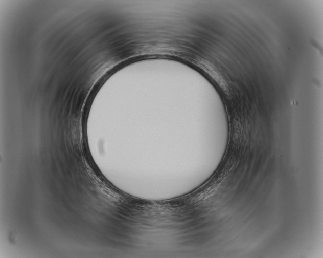 X0000097980980200804141113