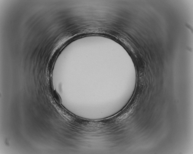 X0000097980981200804141113