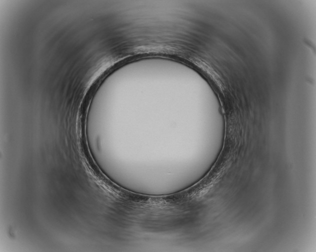 X0000097980983200804141113