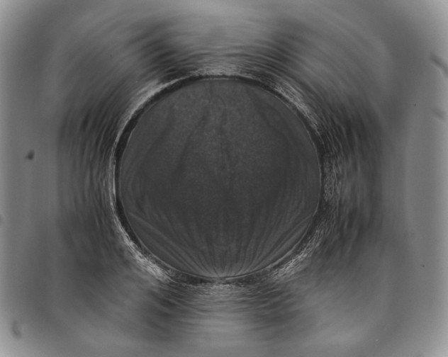 X0000097980984200804141113