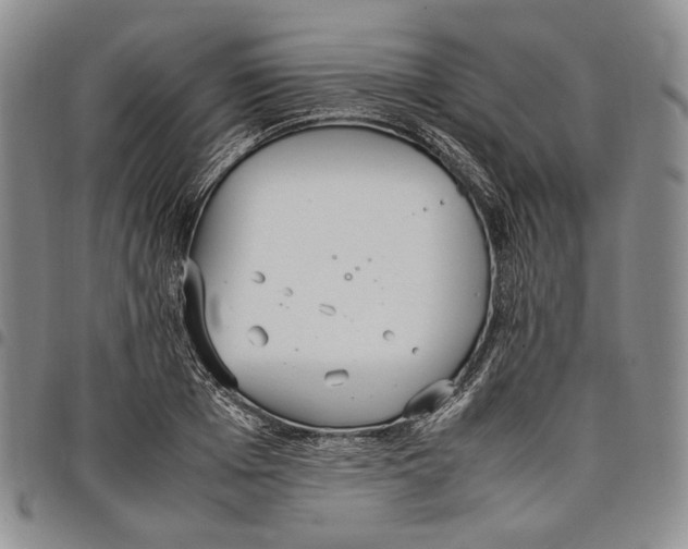 X0000097980985200804141113