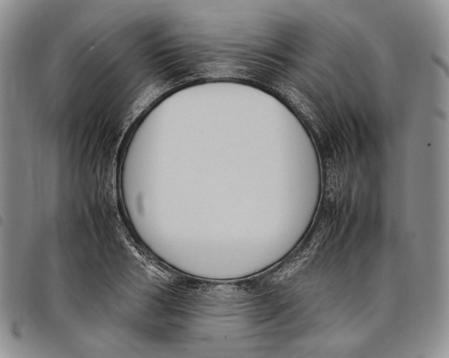 X0000097980986200804141113