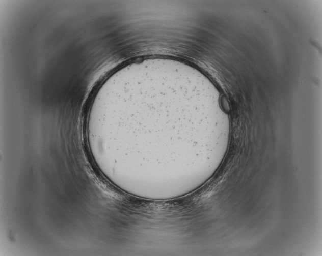 X0000097980987200804141113