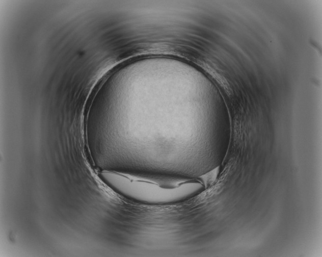 X0000097980988200804141113