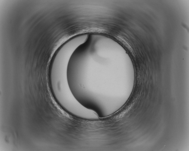 X0000097980989200804141113