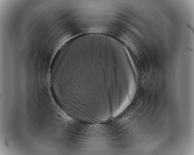 X0000097980992200804141113