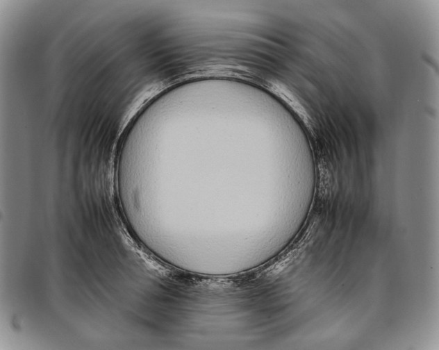 X0000097980994200804141113